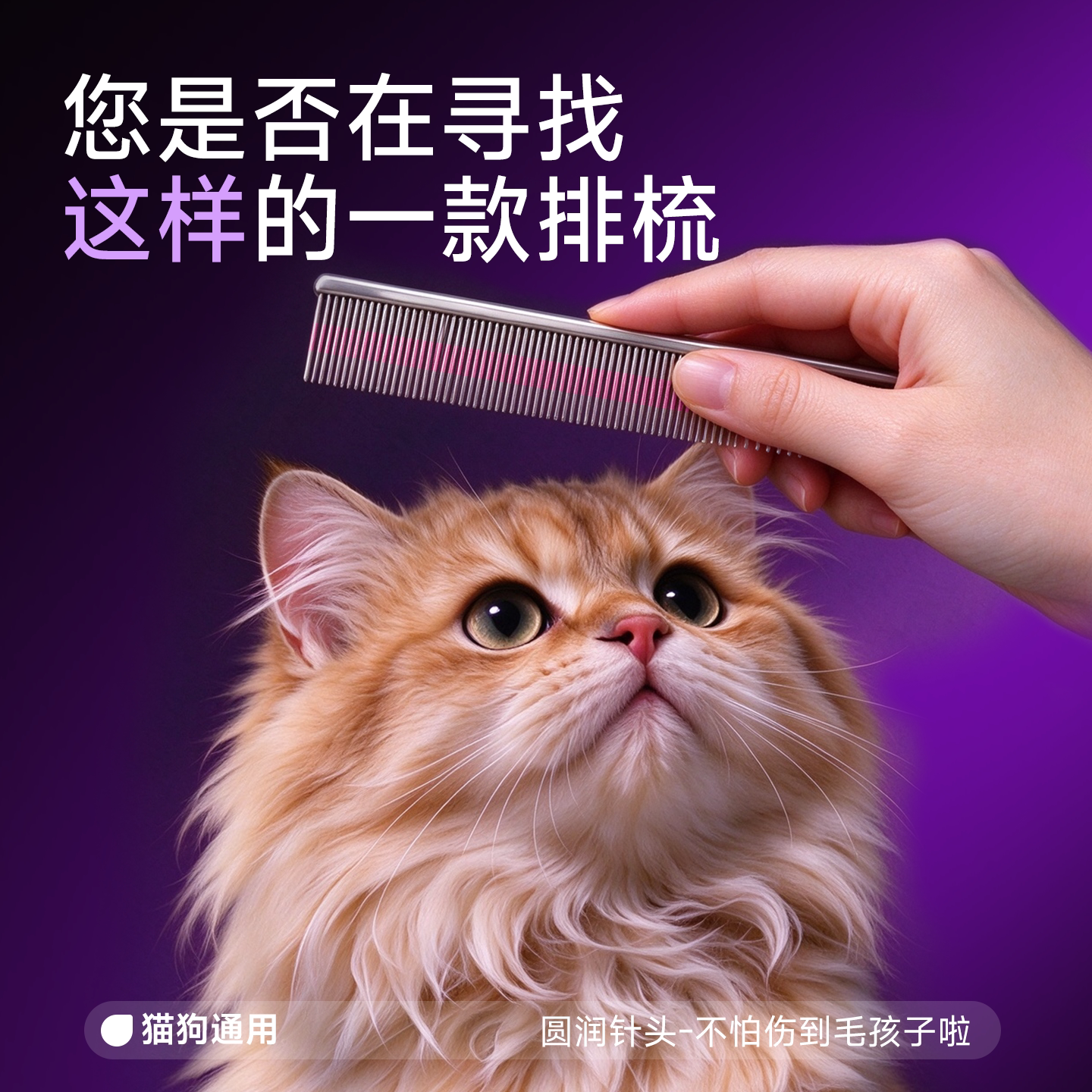 派澳思赛级宠物排梳猫狗梳毛专用