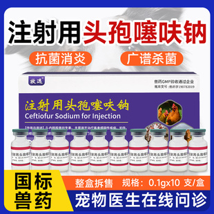 头孢噻呋钠注射液0.1g猫咪狗狗消炎针剂宠物犬猫用头孢退烧药兽用
