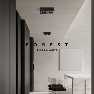 现代极简斗胆灯简约高端客厅餐厅卧室明装 筒灯家用全光谱无主灯