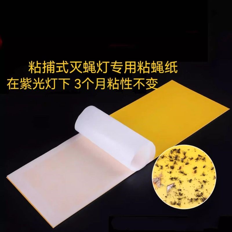 100张装粘捕式灭蚊o蝇灯粘蝇板灭蚊纸灭蚊蝇灯粘虫纸苍蝇贴粘蝇纸