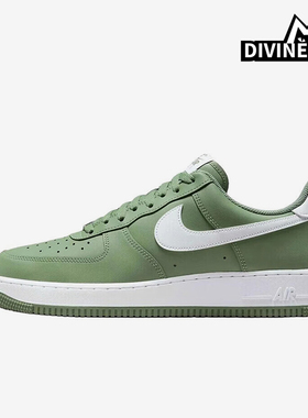 Nike/耐克正品2025秋季款男士日常低帮系带透气板鞋FJ4146-301