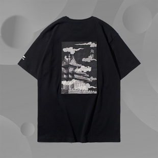 t恤男士 文化衫 新款 男子短袖 AHSP843 X故宫·宝蕴楼联名款 李宁短袖