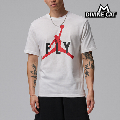 Nike/耐克正品Jordan Sport男士透气高尔夫经典短袖T恤IF2939-100