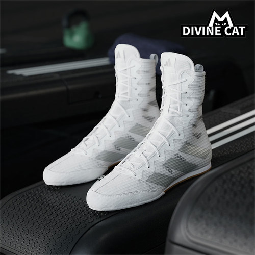 Adidas/阿迪达斯正品春季男女训练透气耐穿室内拳击运动鞋JS4685