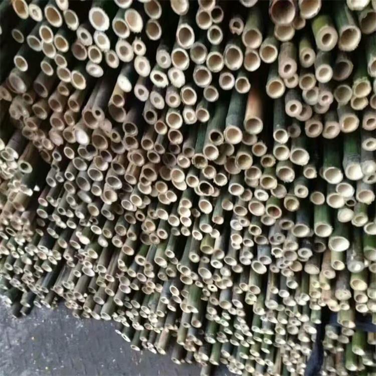 竹竿子搭架菜园竹片杆细竹条豆角黄瓜西红柿瓜果蔬菜架子园艺支架
