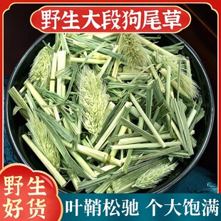狗尾草中药材500g新鲜干货狗尾巴草光明草毛毛草毛虫草九尾草正品