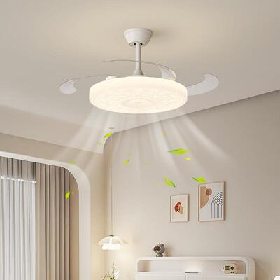 轻2奢02SUM5新款语隐形l音ed风扇厨房吊扇吊家灯用客厅餐厅卧室一