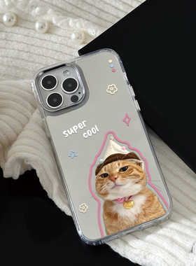CozyCover ins风卡通镜面傲娇橘少爷适用苹果17promax手机壳iphone13新款15pro女14创意16补妆镜子12韩系小众