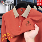 男长袖 中青年体恤衫 春秋季 商务休闲刺绣t恤男士 新款 啄木鸟POLO衫