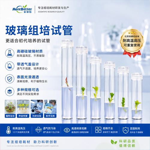 茉钡特植物组织培养试管透气盖