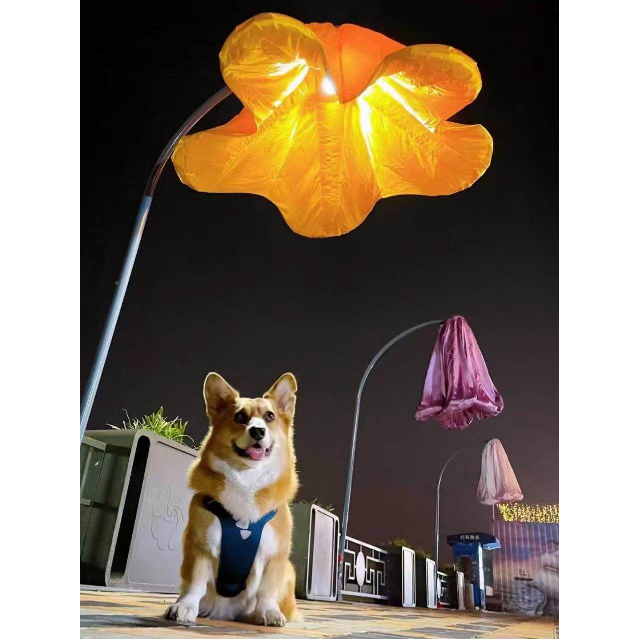 玫瑰花车AL100746展引流景区游乐项呼吸打卡网互动设红目感应备引