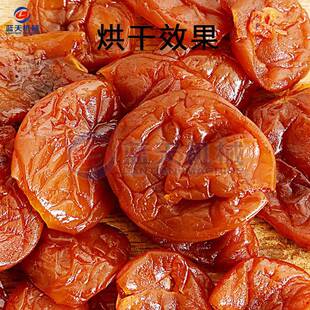 烘全自动芦橘枝 空能气琵琶干烘干机芦 大型LT PPG枇杷果干烘干机