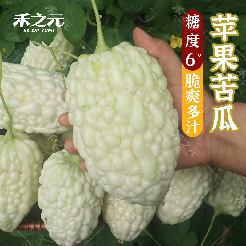 进口稀有苹果苦瓜种子甘甜水果苦瓜种子台湾苹果苦瓜种子蔬菜种子
