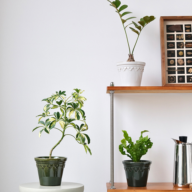 北欧釉面花盆复古帝罗马绿色创意窑变蝴蝶兰兰花绿植套盆盆栽