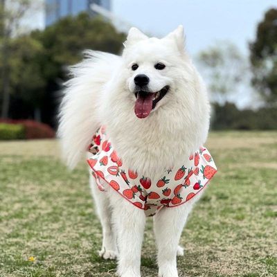 可爱大狗背心春夏薄款中大型犬金毛萨摩耶边牧拉布拉多衣服防掉毛