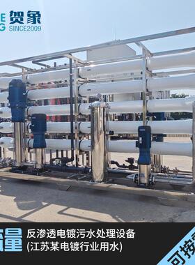 10吨/时大型反渗透水处理设备T电子新能源二级RO高纯水机厂家直供