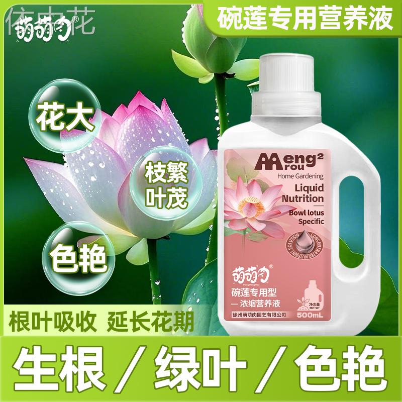碗莲专用营养液高浓缩液体肥改良水质促根系发达防黄叶落叶营养液