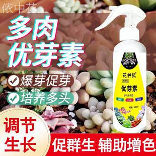 优芽素多肉专用爆芽素促生长营养液促侧芽花卉绿植通用发芽矮胖素