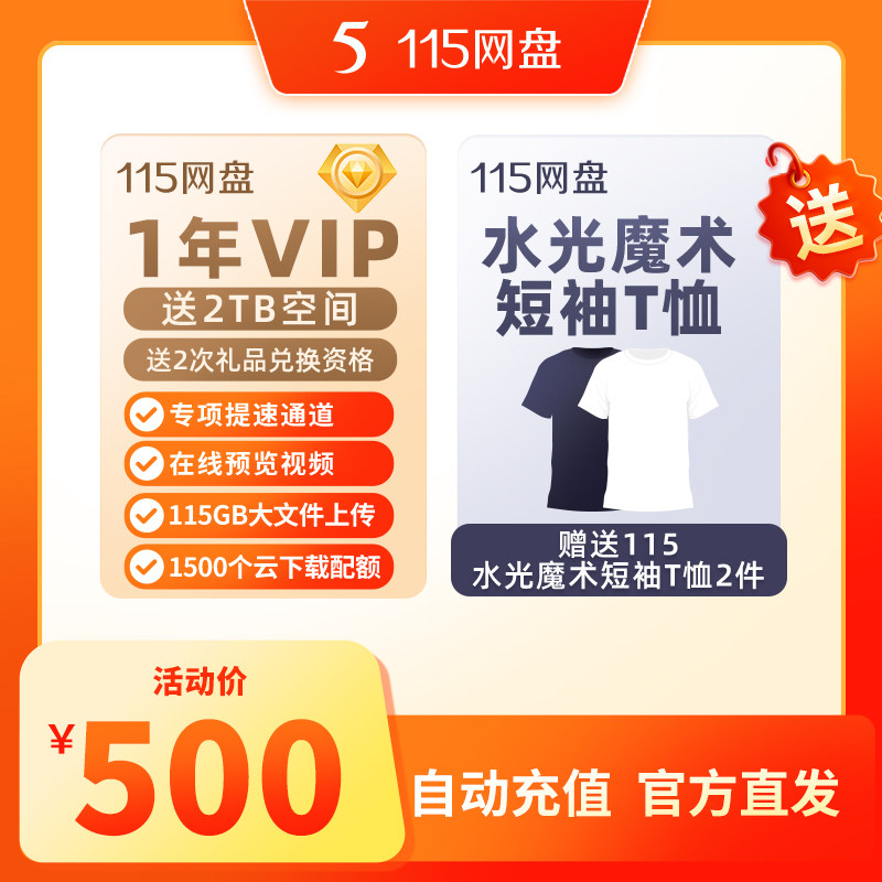 115网盘 1年会员+2TB空间【赠小白T恤2件】专享会员提速通道图片