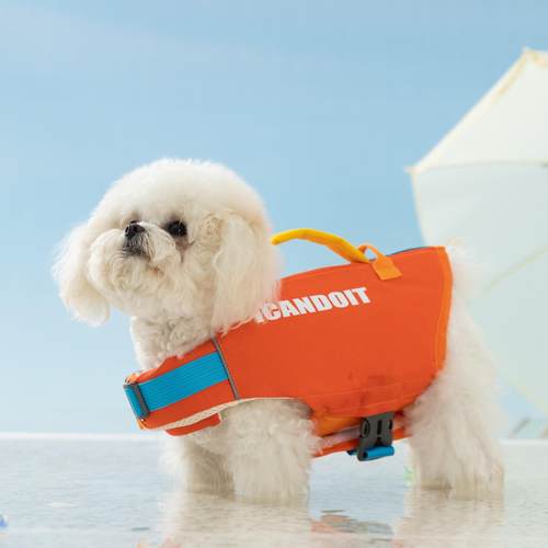 夏季犬用狗狗游泳救生衣大型犬可调节泳衣浮力背心宠物狗游泳用品