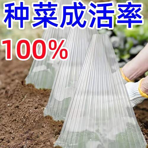 育苗方形钟罩可重复用防霜防虫
