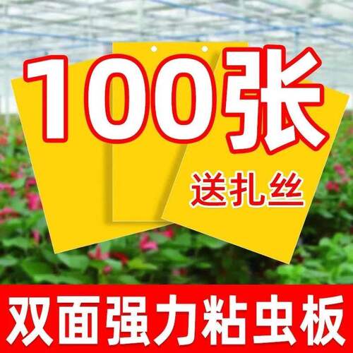 粘虫板家用黄板蓝板双面诱虫粘飞虫阳台小黑飞大棚果园果蝇诱捕器