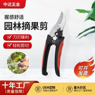 园艺摘果剪阳江不锈钢剪盆景果树修枝剪多功能葡萄花椒剪园林工具