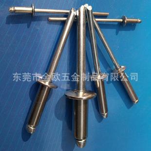 304帽 工厂现货不锈钢抽芯铆钉 铁芯圆头开口型不锈钢拉铆钉