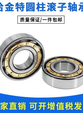 2类圆柱滚子轴承NJ1005 NJ1006 NJ1007 NJ1008 NJ1009 精密机床