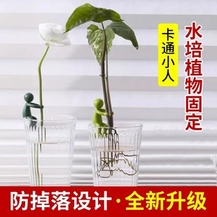 水培植物支撑扶正龟背竹扶枝固定造型防倒伏园艺绿植叶办公桌装饰