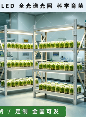 实验室全钢组培架 LED 光照育苗架 植物组培培育培养种苗专用架