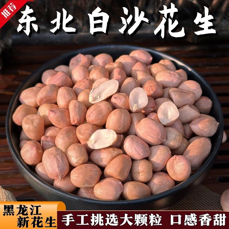 2024年新鲜饱满东北白沙生花生米山东大白沙大颗粒粉皮红衣花生仁