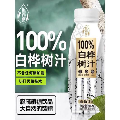 【热卖】白桦树汁原液8大瓶野生桦树水植物饮料0脂0添加厂家直销