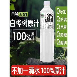 白桦树汁1.25L无添加剂清甜解渴2瓶0脂植物饮料速发 实惠2大瓶