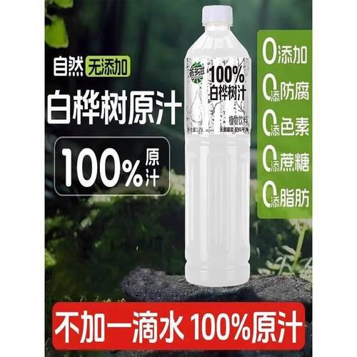 【实惠2大瓶】白桦树汁1.25L无添加剂清甜解渴2瓶0脂植物饮料速发