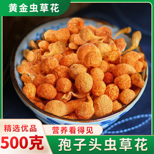 云南孢子头虫草花干货500g煲汤官方旗舰店蛹虫草北金虫草新鲜商用