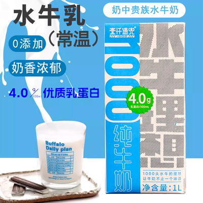 壹仟速兜水牛乳奶茶咖啡饮品商用理想纯牛奶吃甘蔗的广西江水牛奶