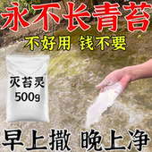 青苔清除剂青苔清除剂水泥地强力清除蓝绿藻地面墙面老院子除青苔