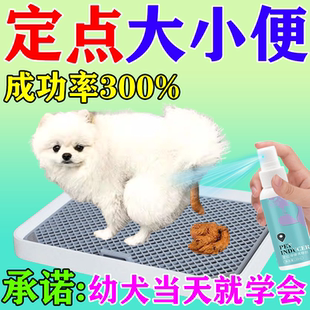 狗狗定点排便神器训练宠物小狗上厕所诱导剂防止狗狗乱拉屎大小便