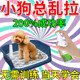 狗狗定点排便神器宠物不乱拉屎上厕所诱导剂引大小便尿垫定点训练