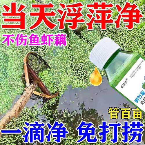 浮萍清除剂鱼塘水草浮萍一扫光三天池塘清除青苔水花生芦苇烂根剂
