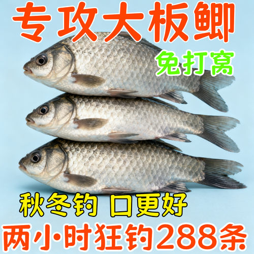 腥香鱼饵野钓通杀鲫鱼鲤鱼草鱼鳊鱼懒人挂钩颗粒钓鱼饵料腥香鱼食