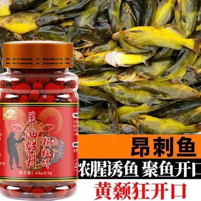 黄辣丁专用羊油颗粒饵料户外垂钓免打窝黄骨鱼昂公昂刺黄颡鱼饵料