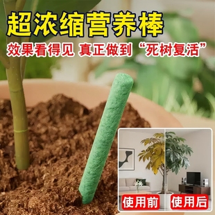 德国园艺金奖强效六合一植物肥料花卉多肉通用型氮磷钾缓释营养棒