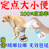 狗狗定点上厕所神器排便诱导剂狗厕所尿垫专用引导宠物厕所神器y