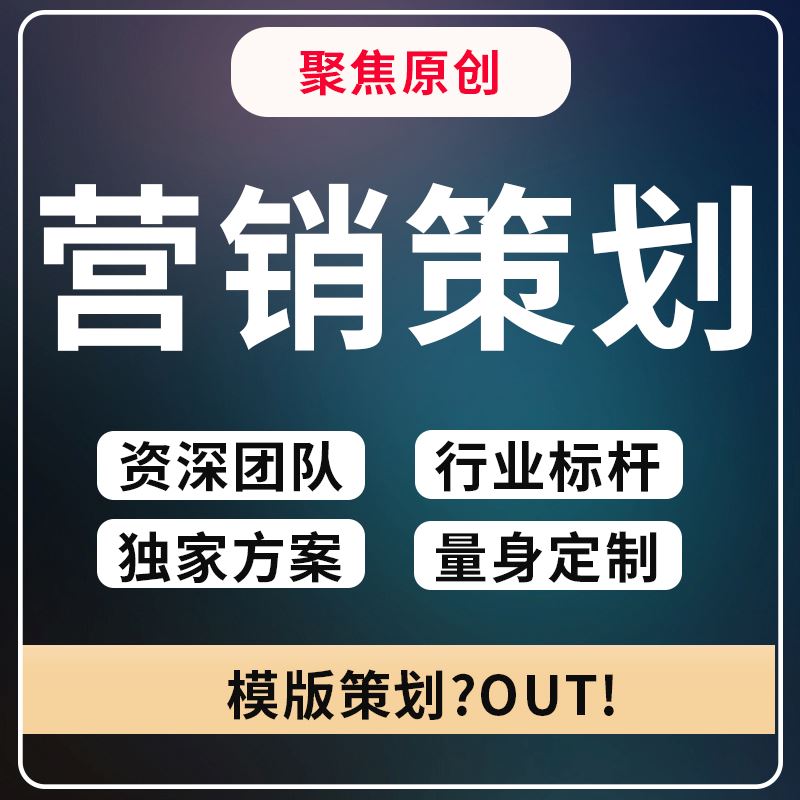 营销策划营销方案市场推广策略品牌推广活动营销文案营销策略营销