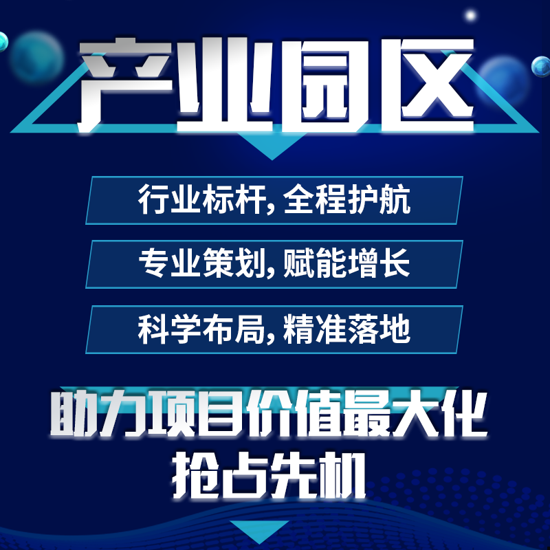 产业园区规划策划项目策划word内容撰写报告营销方案代写市场ppt