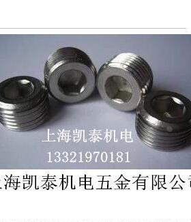 304不锈钢内六角堵头M8 M10X1 M12 M14X1.5 M16 M18 M20 M22 M24