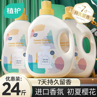 补充装 植护香水洗衣液家用实惠装 初夏樱花持久留香味洁净护衣袋装