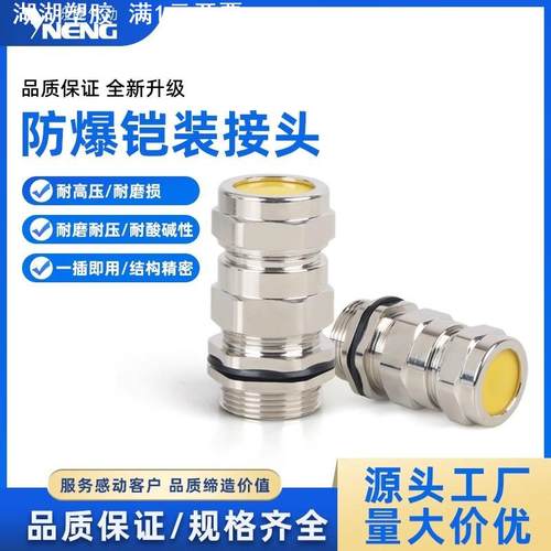 防爆铠装双密封金属铜镀镍格兰头电缆防水接头船用单头填料函